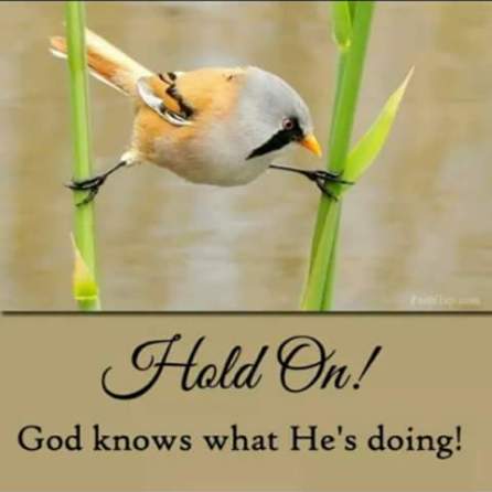 hold on - God knows what he's doing - Meliorism Memoirs Of An Autism Mama